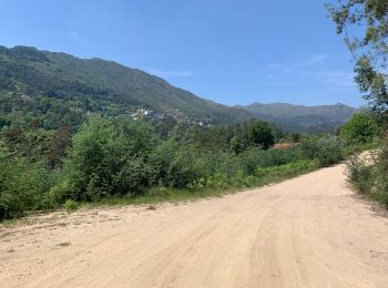 Tocht Stappen Rio Caldo - Sao Bento Peneda Gères  - Photo