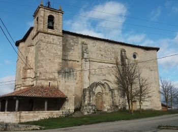 Tocht Te voet San Millán/Donemiliaga - Ruta de los Robles Centenarios - Photo