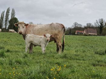 Percorso Marcia Vesly - Vesly - Ferme de Nainville - Le chêne - Gisancourt - voie verte - Noyers - Photo