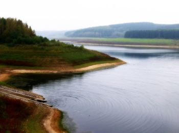 Randonnée A pied Kürten - D5 - Dunkle Wälder, sonnige Höhen - Photo