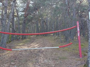 Tocht Stappen Comps-sur-Artuby - jabron bloqué par la haie métallique  - Photo