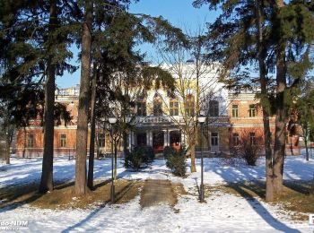 Tour Zu Fuß  - Twierdza Modlin Niebieski - Photo