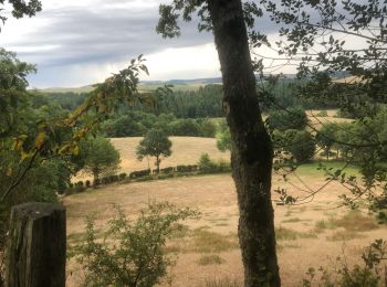 Randonnée Randonnée équestre Curan - Levezou 2 eme jour  - Photo