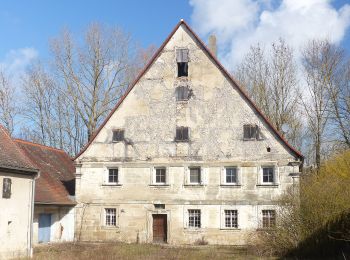 Excursión A pie Eckental - Wanderweg Rundweg Oberschöllenbach - Photo