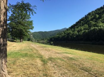 Trail Walking Retournac - Bords de Loire à Retournac - Photo