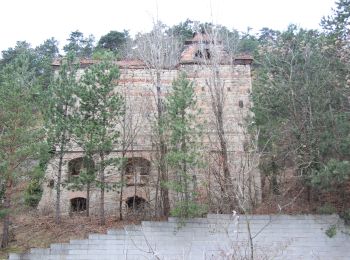 Excursión A pie Gemeinde Gumpoldskirchen - Hotel Turmhof Runde bei Gumpoldskirchen - Photo