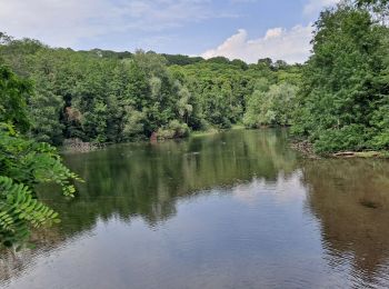 Trail Walking Guyancourt - Etang de la Geneste - Photo