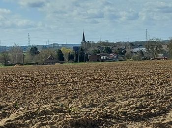 Randonnée Marche Fleurus - Marche Napoléon  - Photo