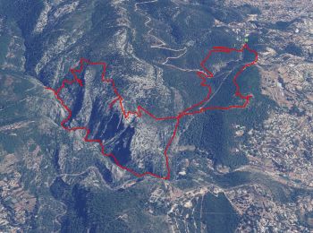 Trail Walking Ollioules - SityTrail - 1041295 - le-destel-grotte-des-joncs - Photo