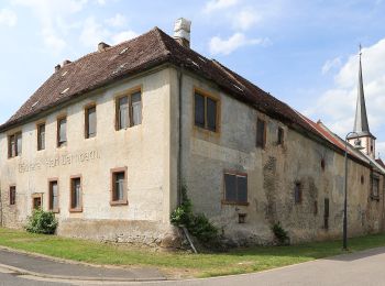 Percorso A piedi Himmelstadt - Ortswanderweg Himmelstadt 1 - Photo