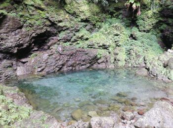 Tocht Trail Fort-de-France - bassin bleu - Photo