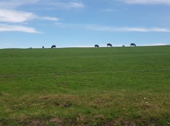 Randonnée Vélo électrique La Bresse - cascade bouchot - haut du tot - grouvelin - Photo