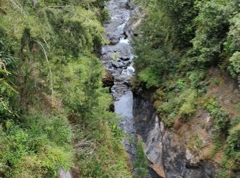 Tocht Stappen Salazie - tour du piton maillot - rivière du mat - Photo