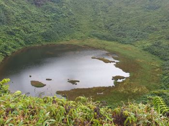 Tocht Stappen Saint-Claude - Guadeloupe - La Soufrière - La Citerne - Photo