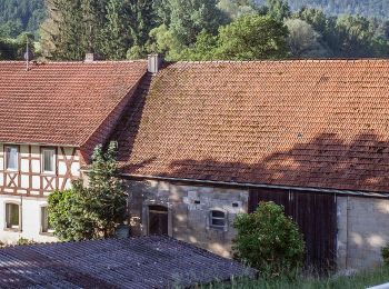 Percorso A piedi Bundorf - Lauftour BUN2 - Photo