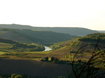 Tour Zu Fuß Konz - G9: Konz <=> Saarburg - Photo