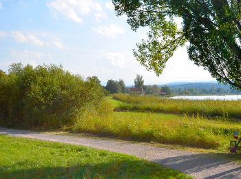 Randonnée A pied Uster - Niederuster - Wetzikon - Photo