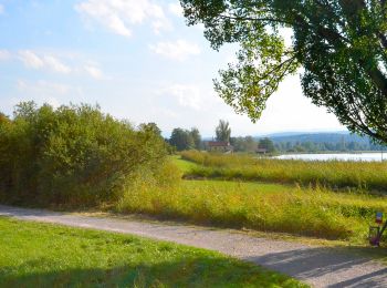 Percorso A piedi Uster - Niederuster - Wetzikon - Photo