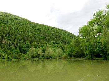 Excursión A pie Ig - Iška - Gornji Ig - Krim - Photo