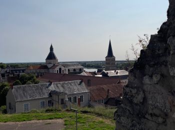 Excursión Senderismo La Charité-sur-Loire - Balade le long de la Loire - Photo