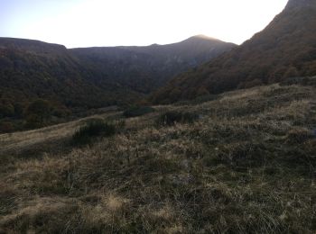 Percorso Marcia Chambon-sur-Lac - Crêtes sancy cols - Photo