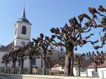 Trail Walking Maraye-en-Othe - Maraye Vosnon 23,5km le 08/03/2021 - Photo