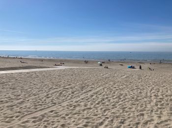 Excursión Bici de carretera Koksijde - 14/06/21 - Photo