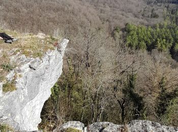 Randonnée Marche Viéville - circuit de la Roche Bernard - Photo