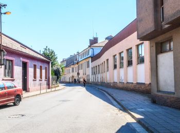 Randonnée A pied Javorník - NS Ceskomoravské pomezí - Svitavsko - Photo