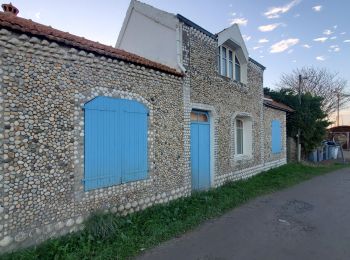 Excursión Senderismo L'Île-d'Yeu - La Meule_la plage des Vieilles - Photo