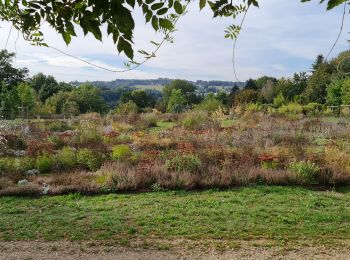 Tocht Stappen Limoges - Limoges moulin blanc parcs - Photo