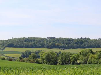 Randonnée Marche Torcy-le-Petit - La Vallée de la Varenne , vu du haut de Torcy - Photo