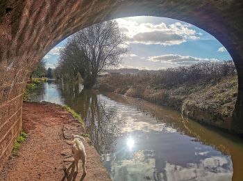 Percorso A piedi Mid Devon - Swan's Neck - Photo