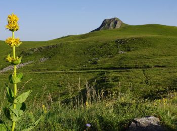 Trail Walking Murat-le-Quaire - Murat_Quaire_Ordanche - Photo