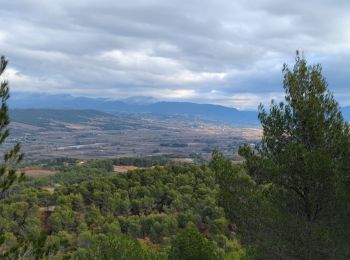 Trail Walking Roaix - Entre Ouvèze & Aygues - Photo