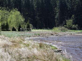 Randonnée A pied Edelschrott - Wanderweg 34 - Photo