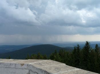 Excursión A pie Petrovice - NS Svatý Noch - Photo