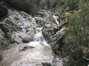 Trail Walking Saint-Péray - Tourtousse  - Photo