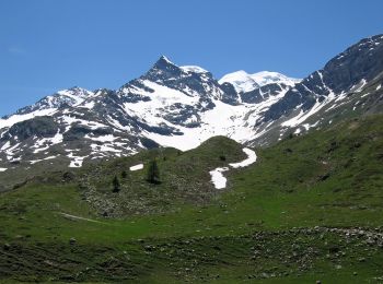 Trail On foot Glarus Süd - Schwändi Schulhaus-Yenstock - Photo