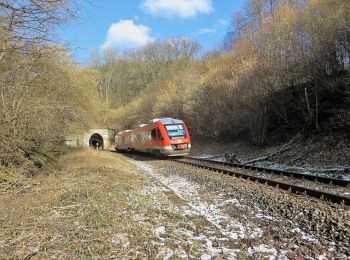 Excursión A pie Desconocido - Rundweg A7 Höhenweg Links der Volme (Dahl) - Photo