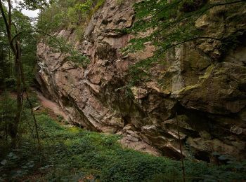 Tocht Te voet Hirschau - Expedition Erdgeschichte Massenricht - Photo