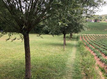 Randonnée Marche Ottignies-Louvain-la-Neuve - Rofessart - Photo