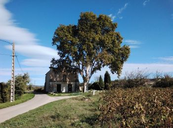 Tour Wandern Pernes-les-Fontaines - pernes les terres mortes  - Photo