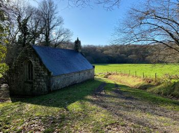 Trail Walking Le Saint - Le saint - Photo