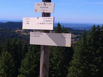 Tour Wandern La Pesse - Crêt du Nerbier  - Photo