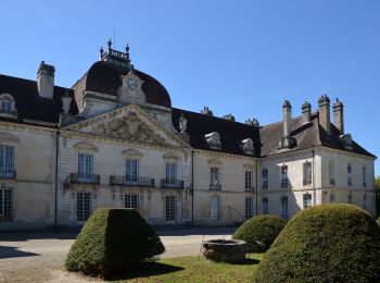 Excursión A pie Fontaine-Française - Circuit du Fourneau - Photo