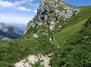 Excursión Senderismo Bellecombe-en-Bauges - Dent des portes e Mont Trelod  - Photo