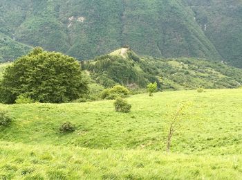 Tocht Te voet Gorreto - Gorreto - Bertone - Monte Carmo - Photo