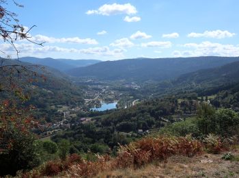 Randonnée Marche Thiéfosse - Thiéfosse - tourbière de Charmes par la côte de Fraine - Photo