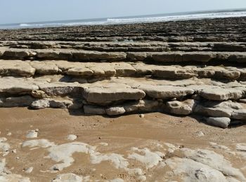 Excursión Senderismo Jard-sur-Mer - Jard sur mer - Pointe du Payré - Photo